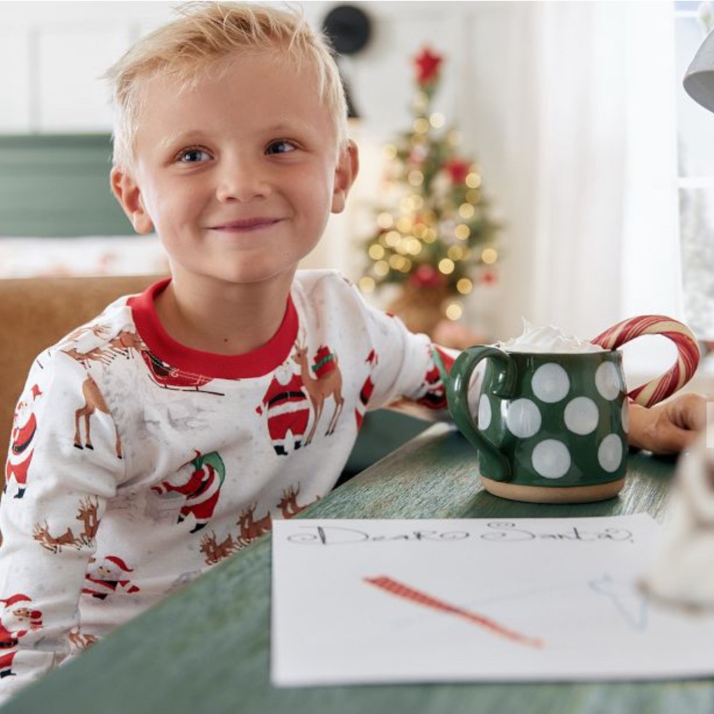 Heritage Santa Organic Cotton Kid Pajama Set Size 10 Unisex - Picture 2 of 9